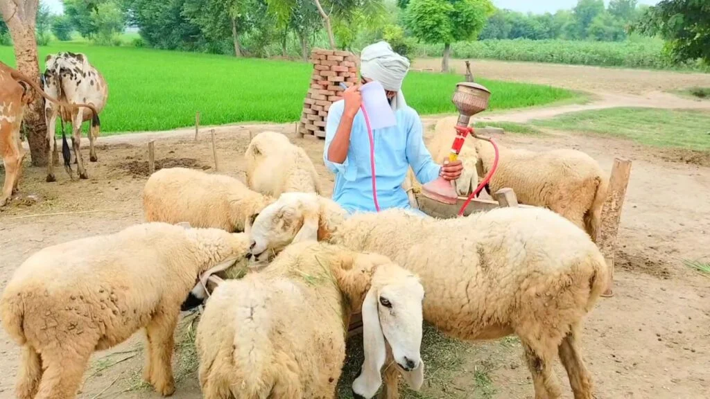 Village Wishes