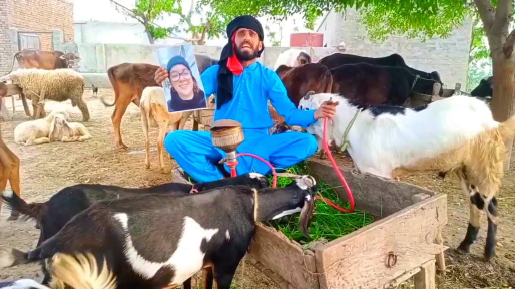 Funny birthday video greeting with dancing goats and villagers holding custom name sign
