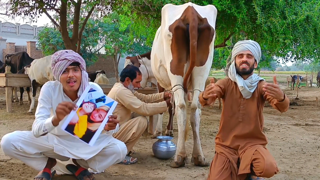 Real cow featured in personalized birthday video greeting by VillageWishes